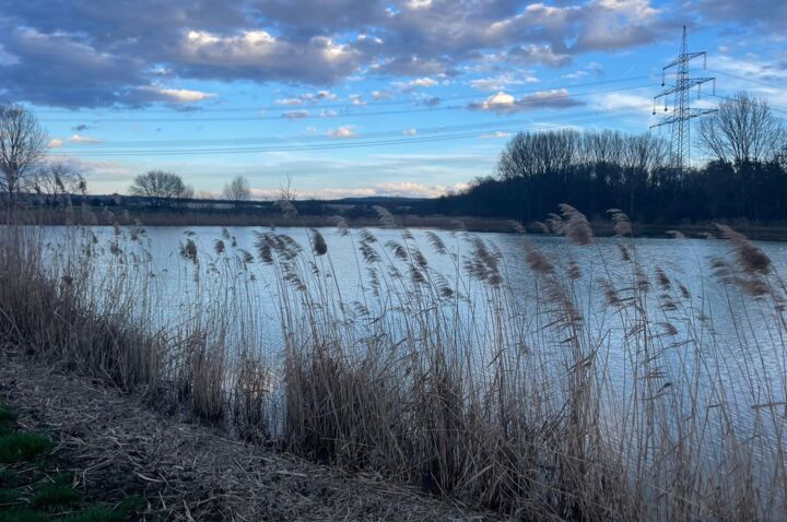 Blick über Gewässer mit Schilf auf Strommast und Leitungen – Cteam Infrastruktur. Blick über Gewässer mit Schilf auf Strommast und Leitungen – Cteam Infrastruktur.